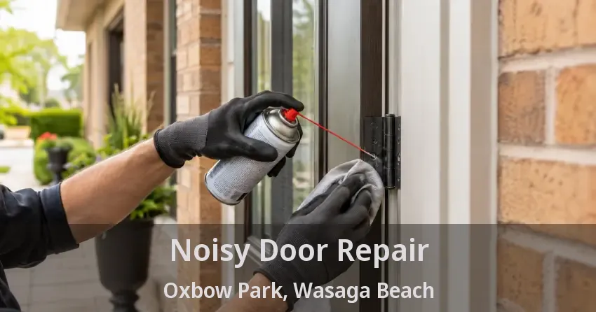 Noisy Door Repair Oxbow Park, Wasaga Beach - ON